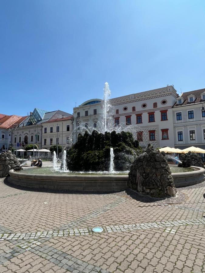 Apartman Viki Banská Bystrica Eksteriør bilde